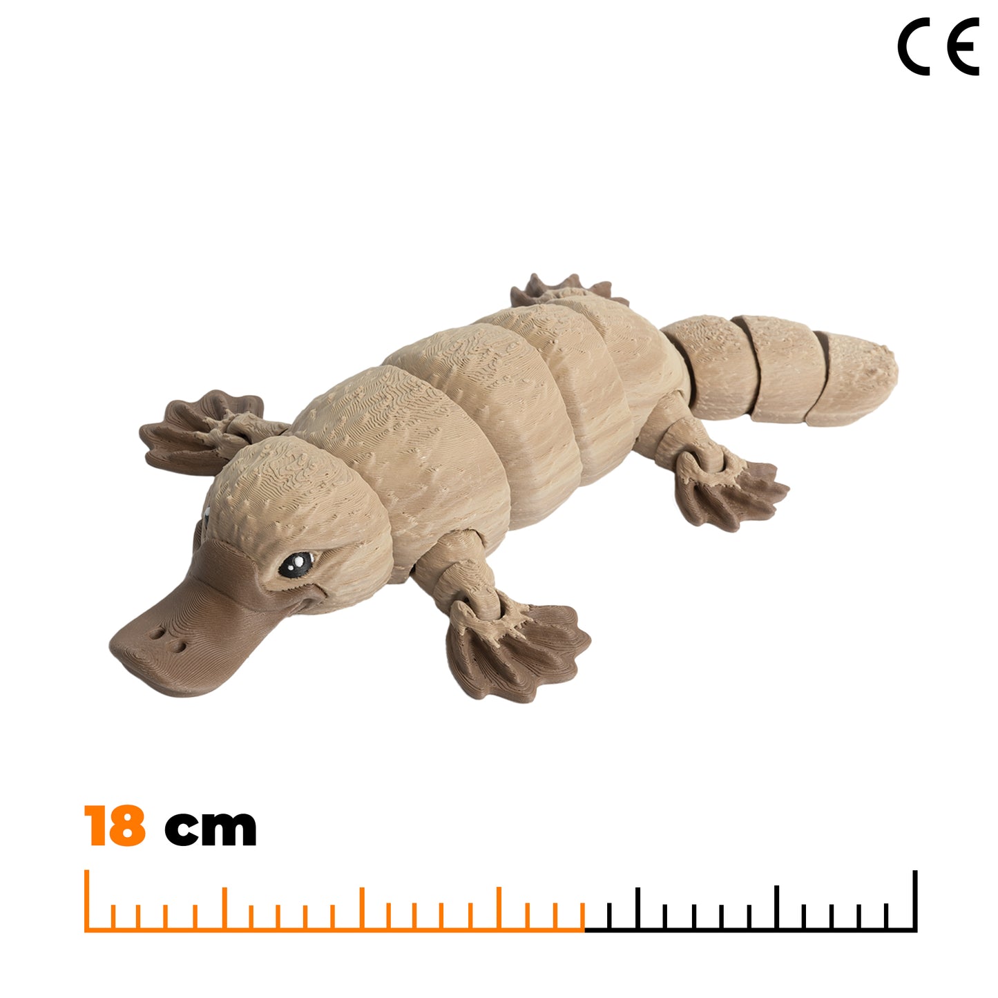 Schnabeltier - Allmähliche Braunfärbung